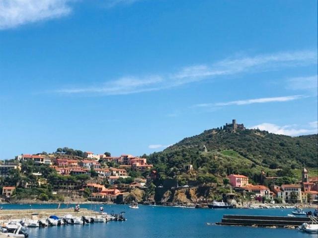 Villa Confort Et Cosy 20 Minutes D'Espagne Plage dʼArgelès 外观 照片