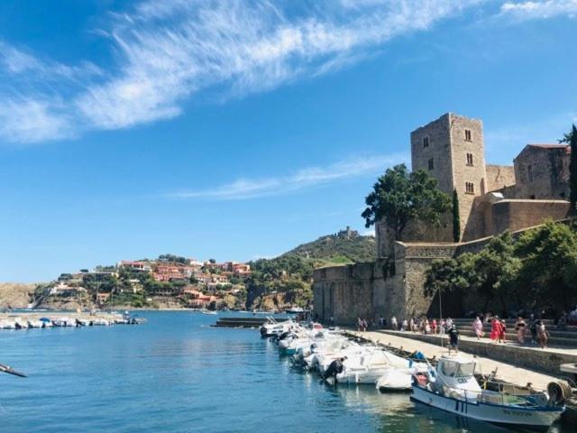 Villa Confort Et Cosy 20 Minutes D'Espagne Plage dʼArgelès 外观 照片